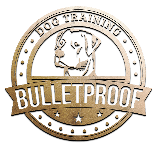 Bulletproof Dog Training